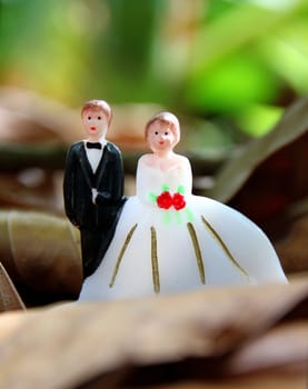 wedding couple doll on leaves ground