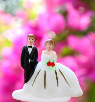 wedding couple doll with pink flower background
