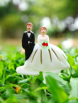 wedding couple doll on grass ground field