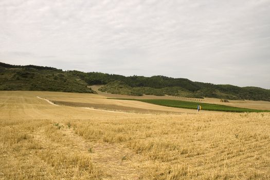 Pilgrims; Way of St. James in the summer