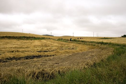 Pilgrims; Way of St. James in the summer