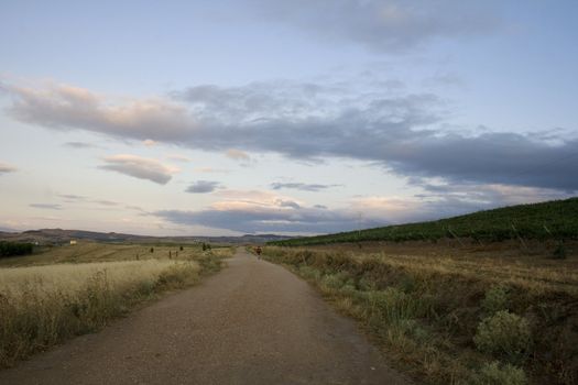 Pilgrims; Way of St. James in the summer