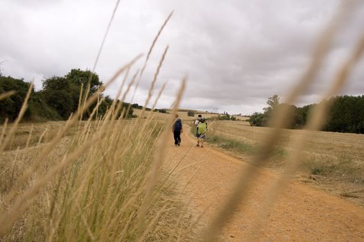 Pilgrims; Way of St. James in the summer