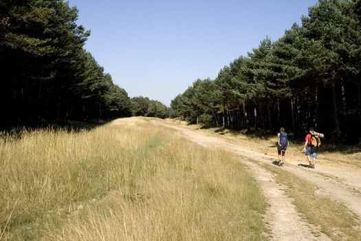 Pilgrims; Way of St. James in the summer