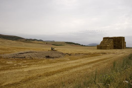 Pilgrims; Way of St. James in the summer