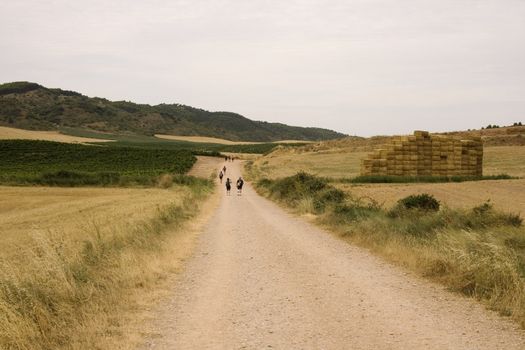 Pilgrims; Way of St. James in the summer