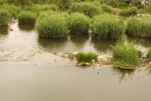 Cane ticket in the pond, way of st. james