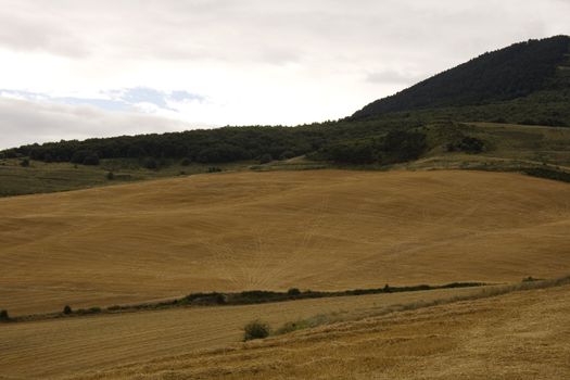 View of the Spanish countryside in the summer