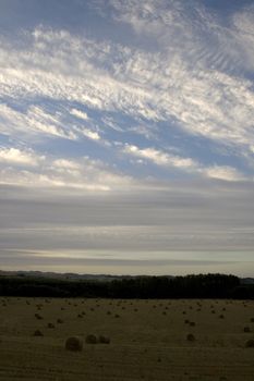 Bales of hay in the spanish countryside in the summer