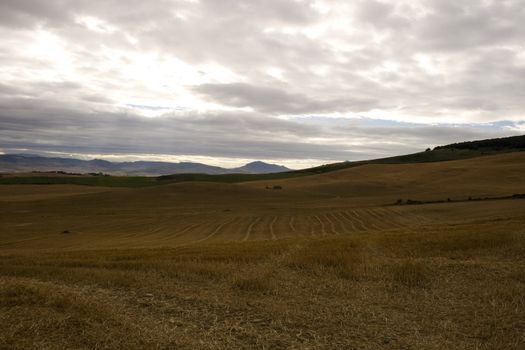 View of the Spanish countryside in the summer