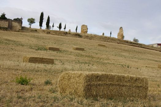 Bales of hay in the spanish countryside in the summer