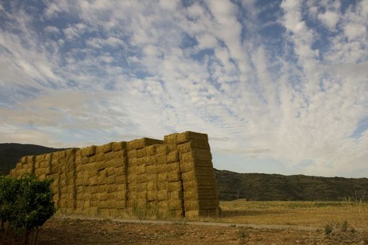 Bales of hay in the spanish countryside in the summer