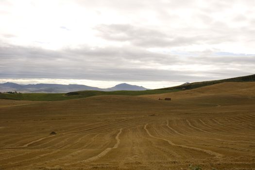 View of the Spanish countryside in the summer