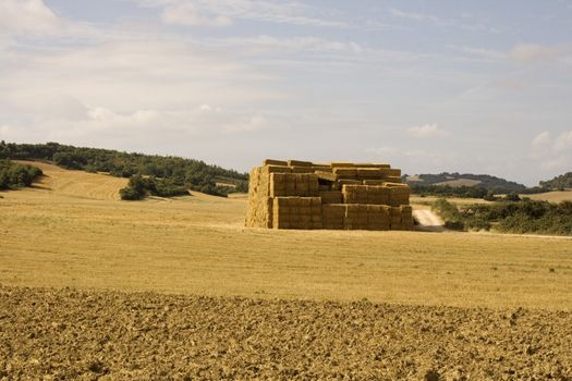 Bales of hay in the spanish countryside in the summer