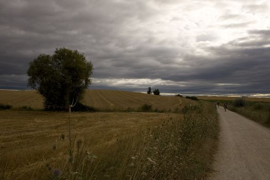 Pilgrims on the road, Way of St. James