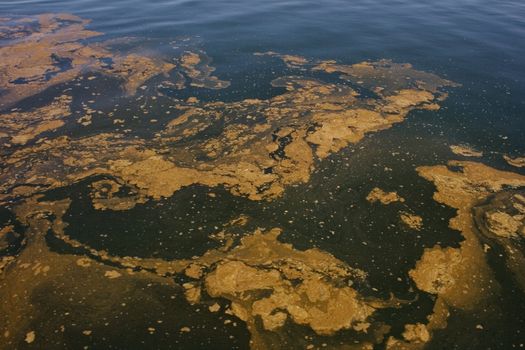 View of Polluted sea, in the Cantabrian sea