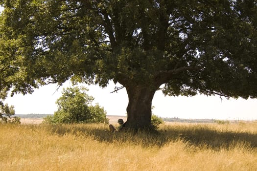Girl reading under tree, spanish countryside