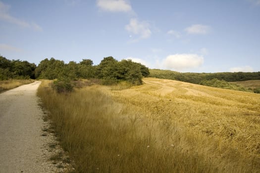 Way of St. James, Spanish countryside in the summer