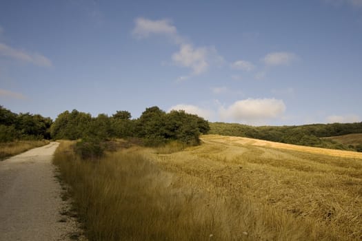 Way of St. James, Spanish countryside in the summer