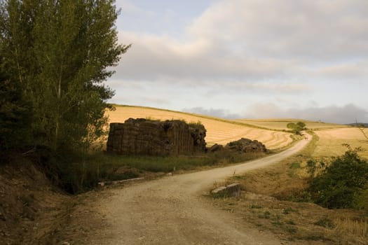 Way of St. James, Spanish countryside in the summer