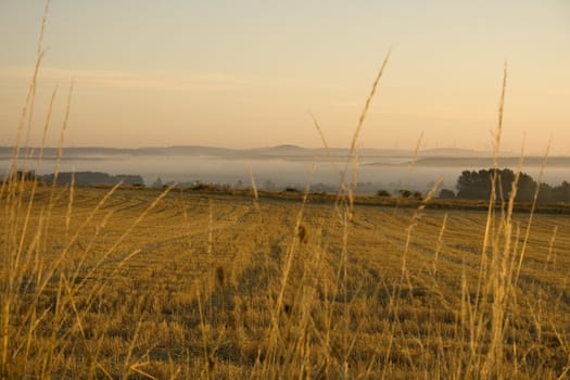 Way of St. James, Spanish countryside in the summer