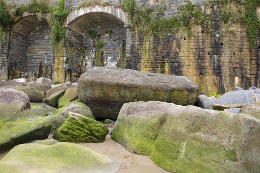 Photo of Moss on rock in the spanish beach