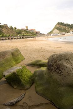 Photo of Moss on rock in the spanish beach