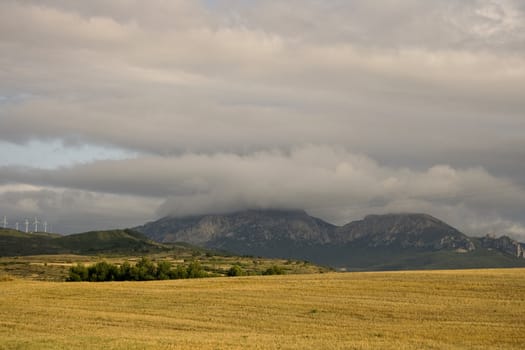 View of the Spanish countryside in the summer