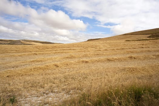 Bales of hay, spanish countryside