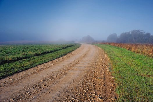 Earth road across meadow in the countryside