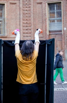 Photo of a Show with the geese puppets