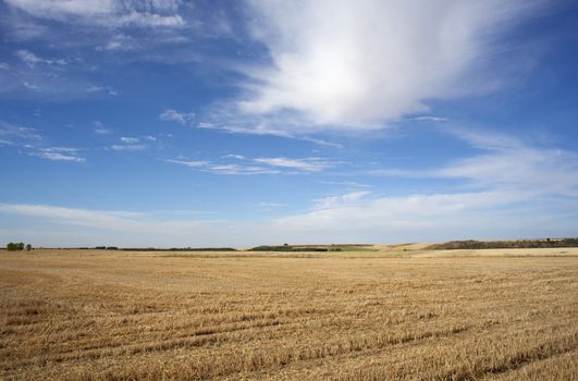 The Way of St. James