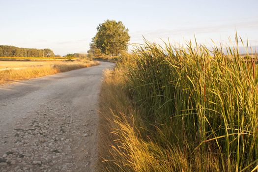 The Way of St. James
