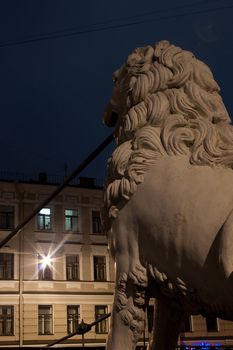 night vertical view of Pedestrian Lion bridge in St. Petersburg, Russia