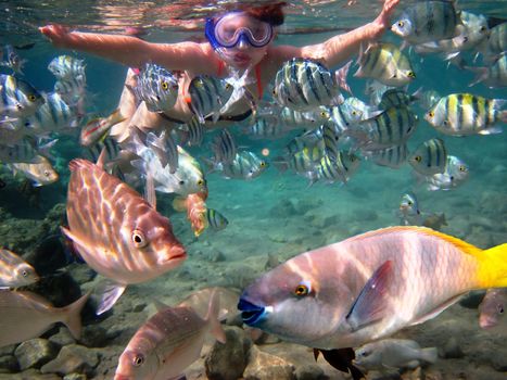 girl swimming under water among tropical fish