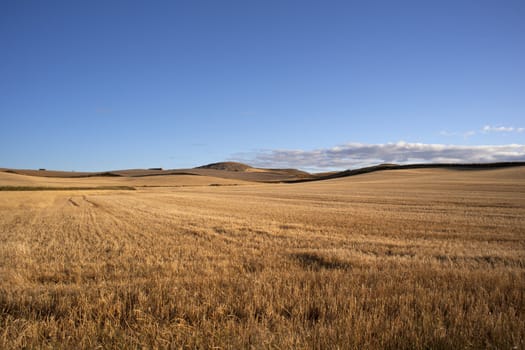 View of Spanish countryside in the summer