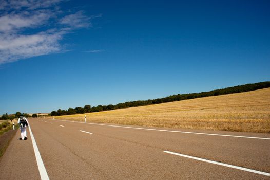 Pilgrim on the Road, Way of St. James