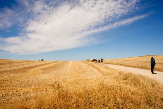 Pilgrims, way of St. James in Spain