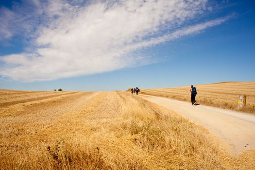 Pilgrims, way of St. James in Spain