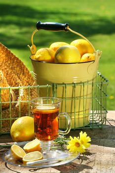 Early morning lemon tea in the garden