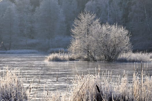 A frosty sunlit landscape in Sweden.