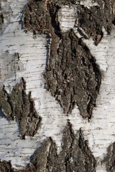 detail of a wood structure