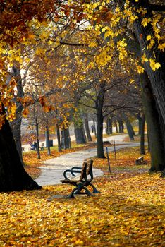 Park with old trees and recreation trail in the fall