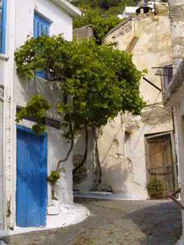 alleyway between old houses in cretan village