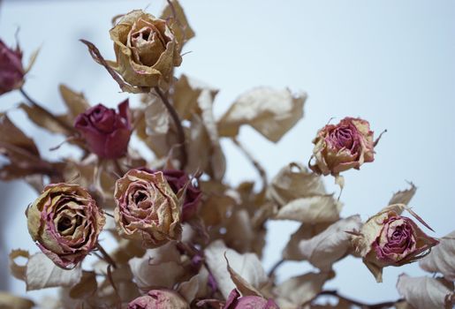 picture of a dried roses bouquet