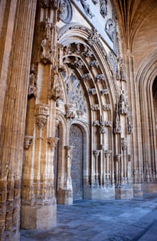 Portal of the Oviedo's Cathedral, Asturias -Spain