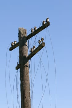 Old cable column with torn off wires