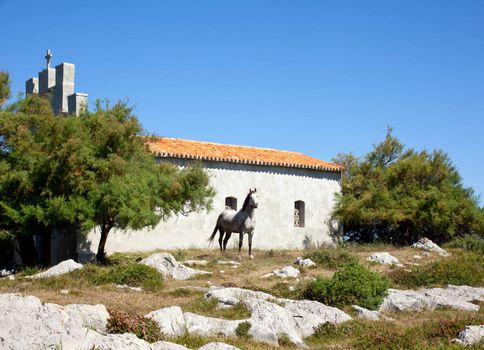 White horse next to the church
