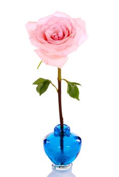 Single pink rose in blue vase isolated