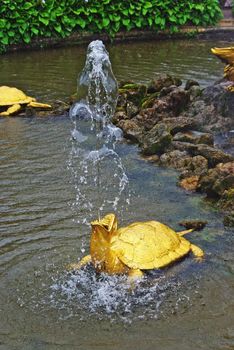 Fountain "The Turtles" In Petrodvorets (Peterhof), St Petersburg, Russia.